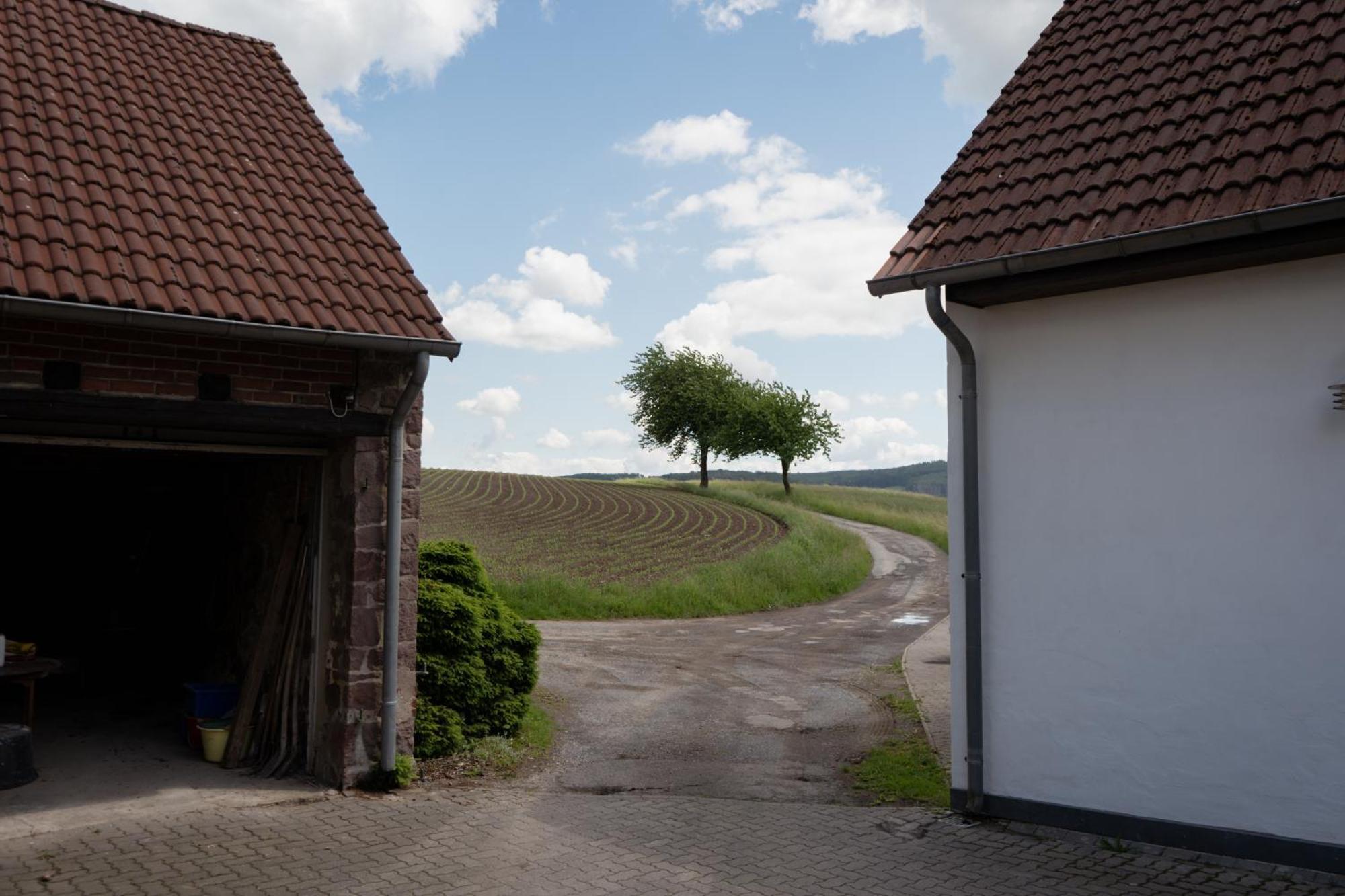 Idyllische Ferienwohnung Im Kalletal 外观 照片