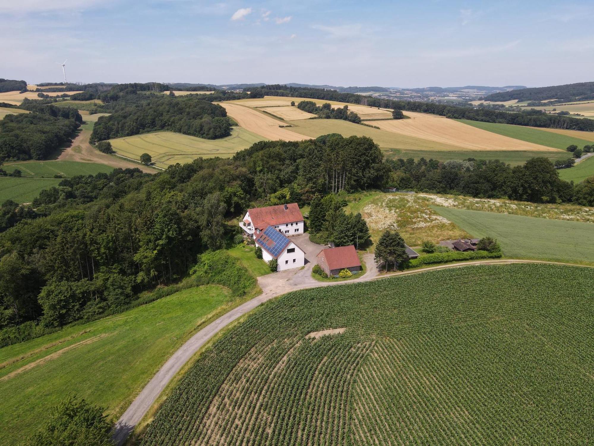 Idyllische Ferienwohnung Im Kalletal 外观 照片
